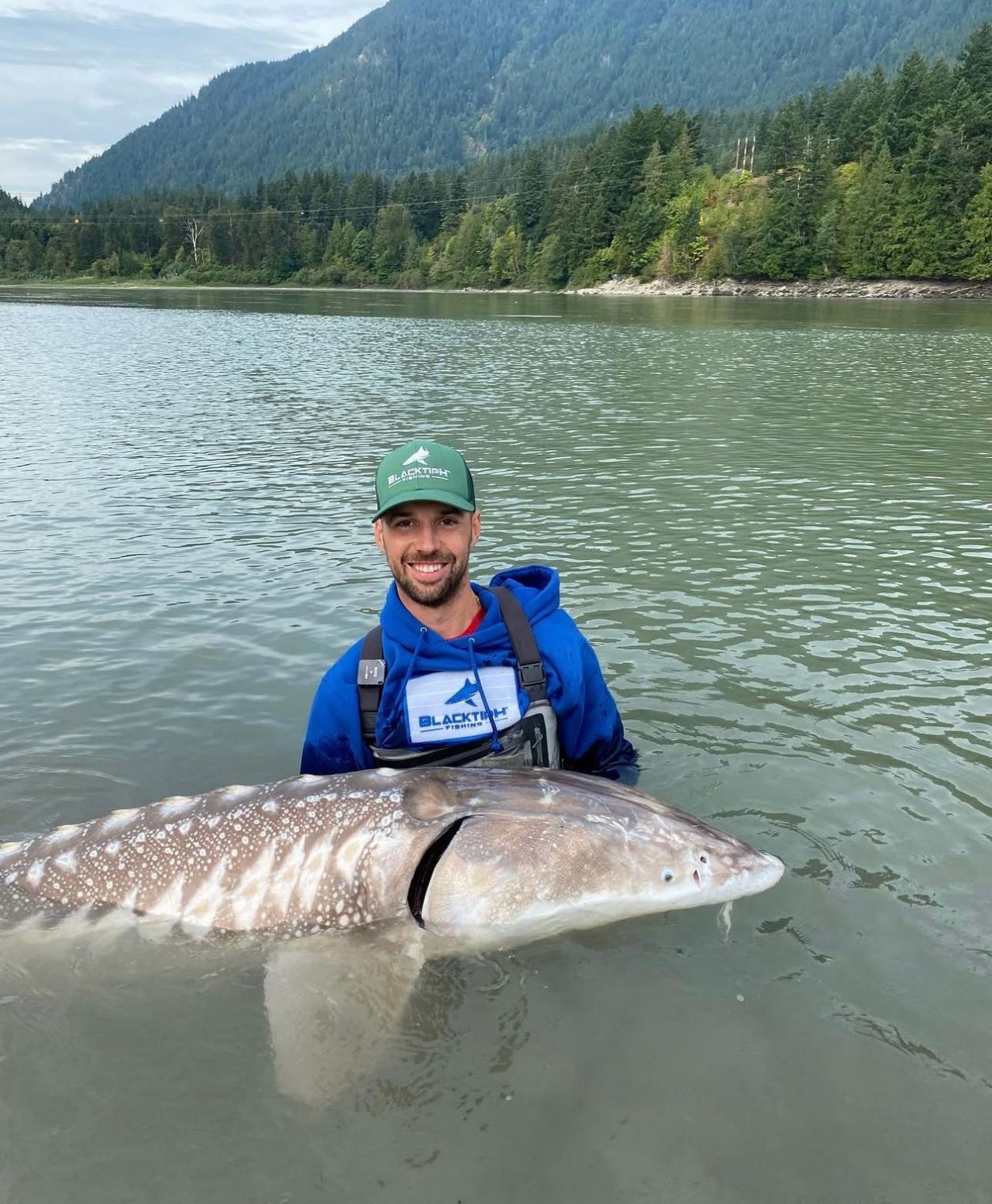 BlacktipH Fishing