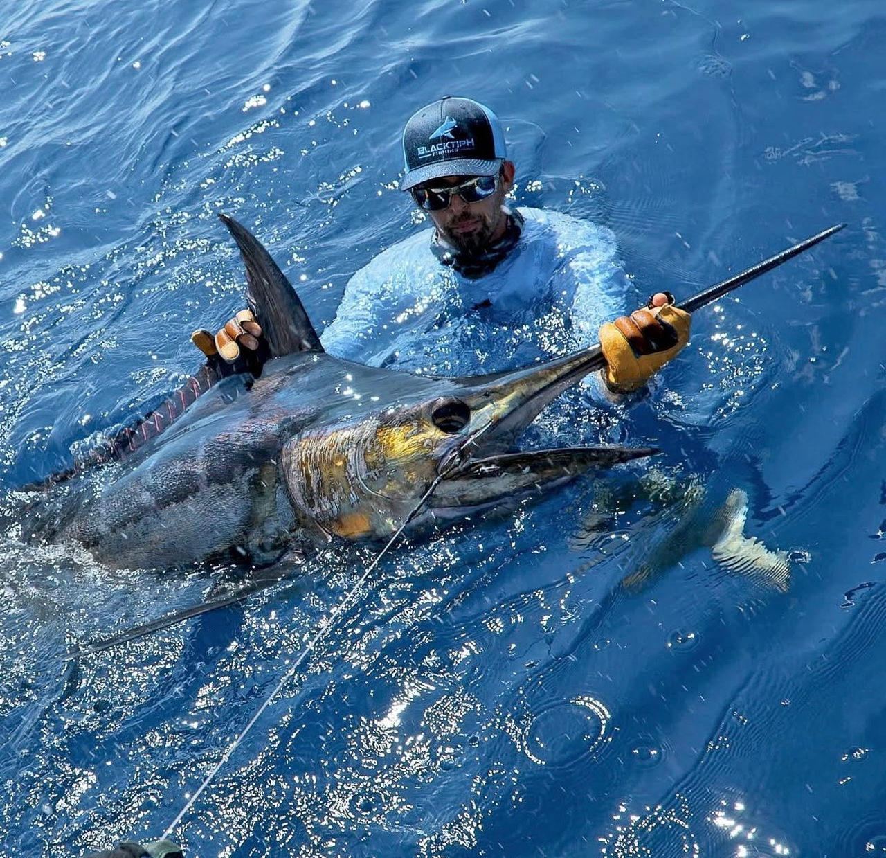 BlacktipH Pêche